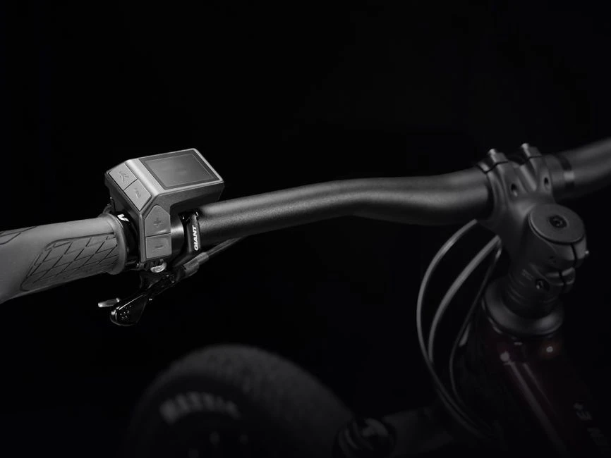 Giant - RideControl Dash 2 En 1 SG - Ecran Avec Boutons De Commande 5 Giant - RideControl Dash 2 En 1 SG - Ecran Avec Boutons De Commande – Image 5